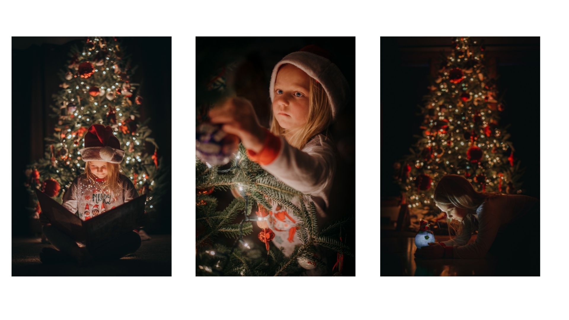 Christmas Tree Pictures 